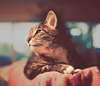 學習CAD！每天五個小技巧！這個系列趕快收藏！