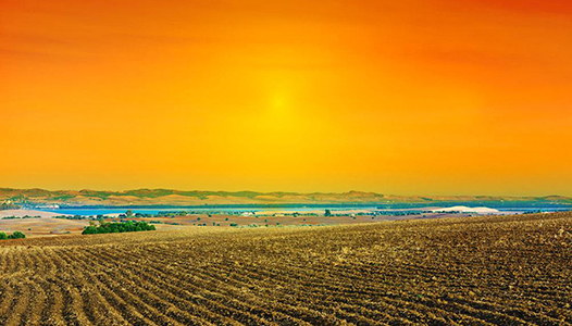 土地確權調查 土地確權調查